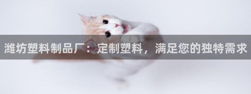 太阳成集团tyc7111cc的研发体系：潍坊塑料制品厂：定制