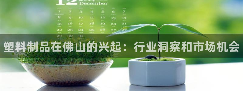 太阳成集团没有赌业吗：塑料制品在佛山的兴起：行业洞察和市场机