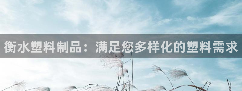 太阳影业投资：衡水塑料制品：满足您多样化的塑料需求