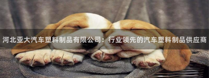 太阳集团所有网址16877官网：河北亚大汽车塑料制品有限公司