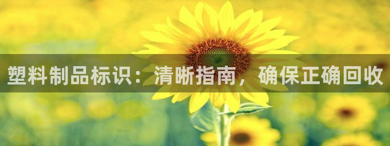 15vip太阳集团登录：塑料制品标识：清晰指南，确保正确回收