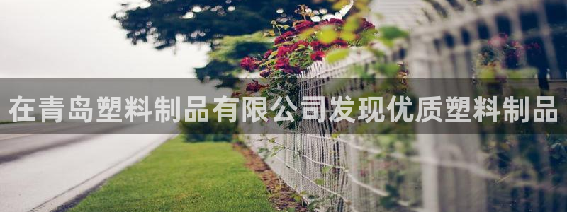 高淳红太阳集团：在青岛塑料制品有限公司发现优质塑料制品