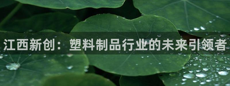 江苏太阳集团冷青松：江西新创：塑料制品行业的未来引领者