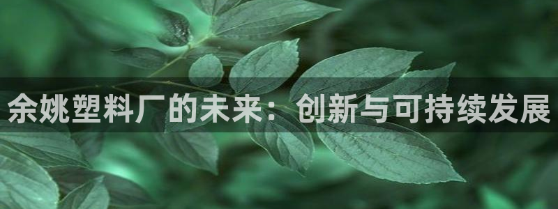 太阳集团董事长的儿子：余姚塑料厂的未来：创新与可持续发展