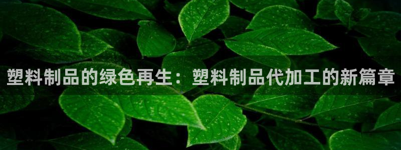 太阳诚集团有限公司：塑料制品的绿色再生：塑料制品代加工的新篇