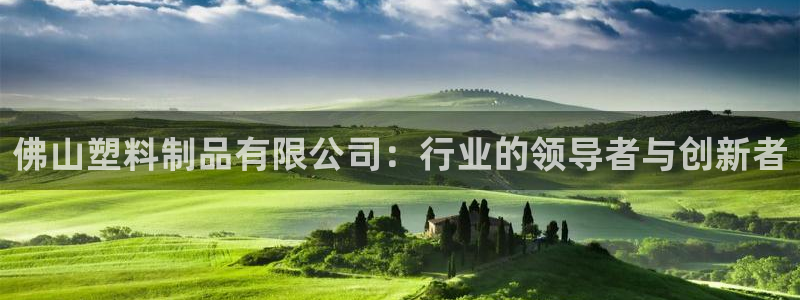 太阳控股集团：佛山塑料制品有限公司：行业的领导者与创新者
