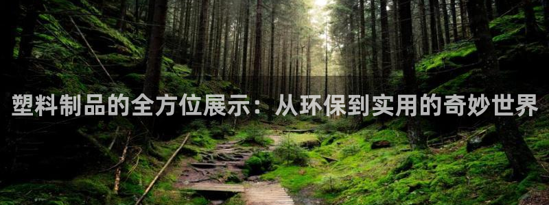 太阳 官网：塑料制品的全方位展示：从环保到实用的奇妙世界