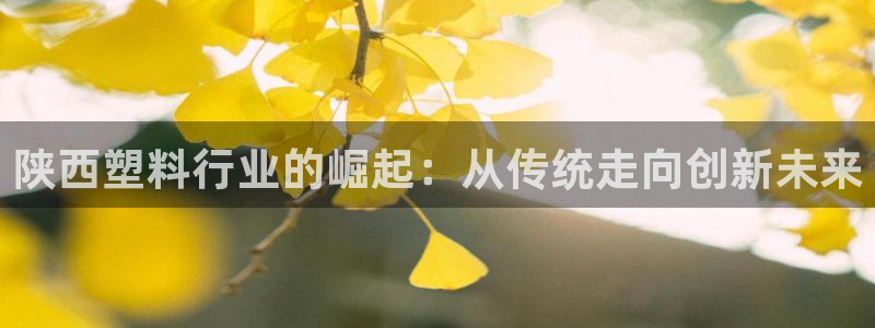 太阳成集团是什么：陕西塑料行业的崛起：从传统走向创新未来