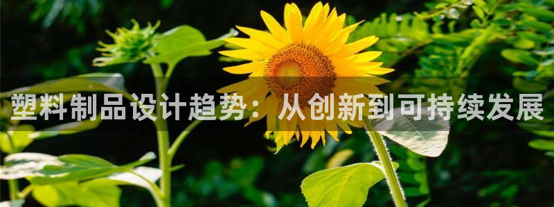 太阳游戏成语：塑料制品设计趋势：从创新到可持续发展