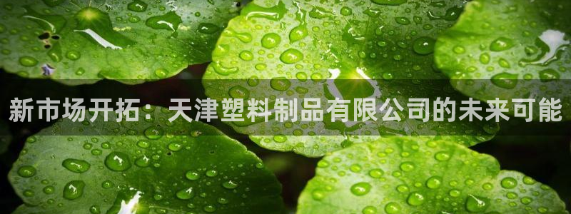 太阳集团影视：新市场开拓：天津塑料制品有限公司的未来可能