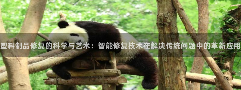 太阳集团游戏网址：塑料制品修复的科学与艺术：智能修复技术在解