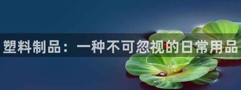 太阳集团董事长是谁：塑料制品：一种不可忽视的日常用品