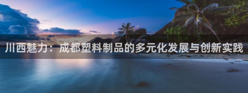 太阳股份有限公司：川西魅力：成都塑料制品的多元化发展与创新实