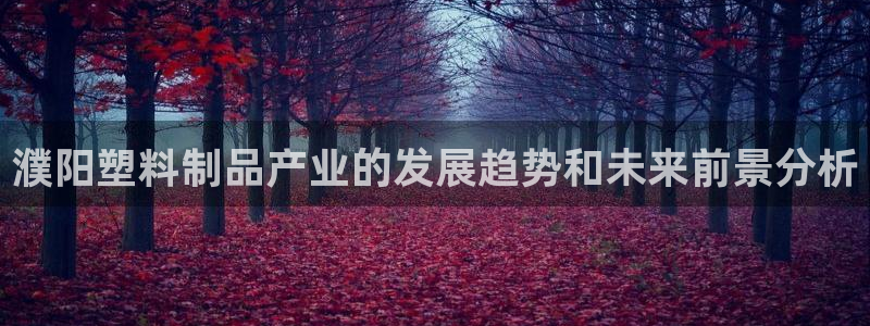 太阳成集团控股官网：濮阳塑料制品产业的发展趋势和未来前景分析