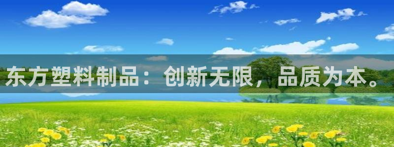 太阳诚集团有限公司地址：东方塑料制品：创新无限，品质为本。