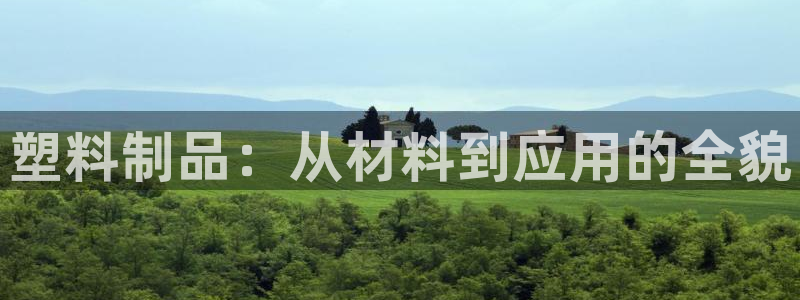 太阳集团电子游戏老板：塑料制品：从材料到应用的全貌