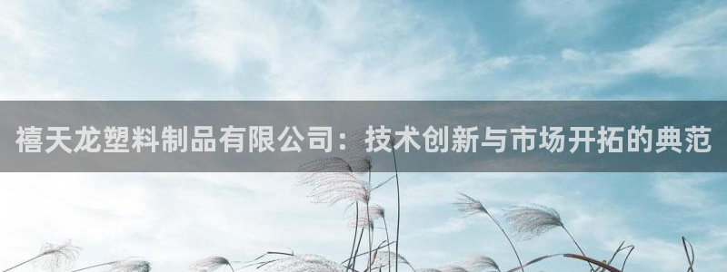 太阳成集团tyc234cc：禧天龙塑料制品有限公司：技术创新