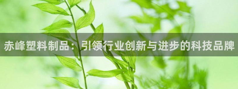 太阳gg登录：赤峰塑料制品：引领行业创新与进步的科技品牌