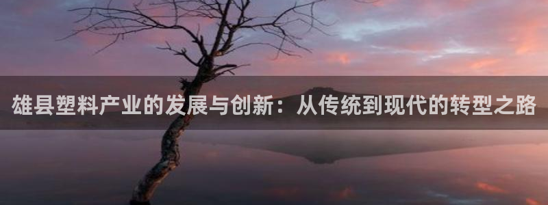 太阳成集团tyc33455cc官网：雄县塑料产业的发展与创新