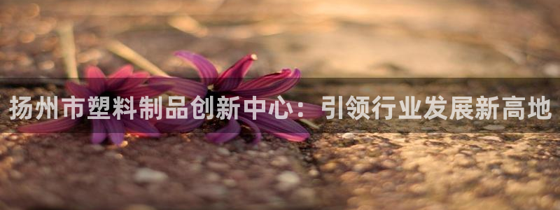太阳游戏汉化：扬州市塑料制品创新中心：引领行业发展新高地