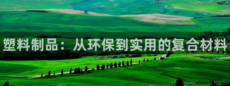 122cc太阳集成游戏官方网站：塑料制品：从环保到实用的复合