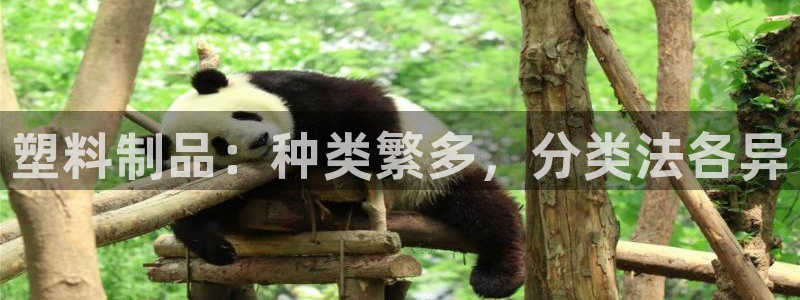 太阳成集团tyc1050：塑料制品：种类繁多，分类法各异