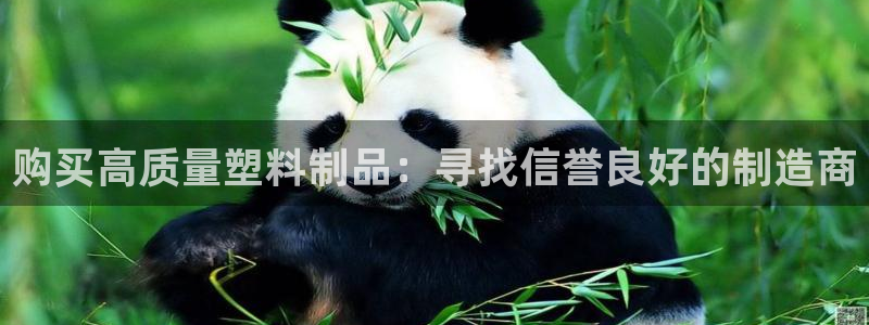 太阳游戏城：购买高质量塑料制品：寻找信誉良好的制造商