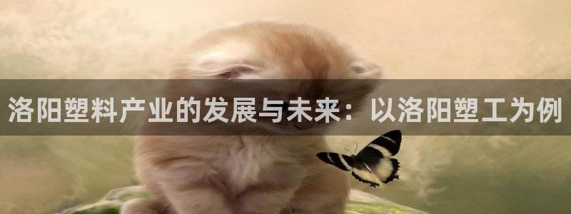 2003网站太阳集团：洛阳塑料产业的发展与未来：以洛阳塑工为