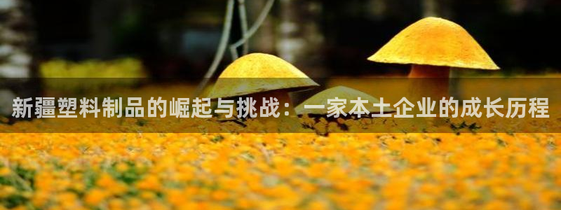 太阳集团董事长是谁：新疆塑料制品的崛起与挑战：一家本土企业的