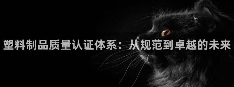 太阳成集团游戏合集：塑料制品质量认证体系：从规范到卓越的未来