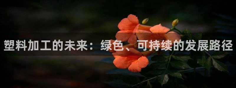 太阳影视公司：塑料加工的未来：绿色、可持续的发展路径