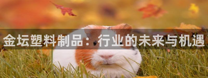 2138cn太阳集团古天乐·网上娱乐：金坛塑料制品：行业的未