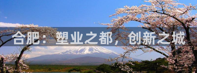 太阳地产集团：合肥：塑业之都，创新之城