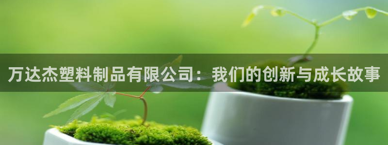 太阳诚集团是什么：万达杰塑料制品有限公司：我们的创新与成长故