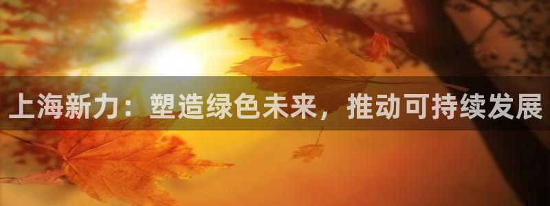 太阳集团游戏软件：上海新力：塑造绿色未来，推动可持续发展