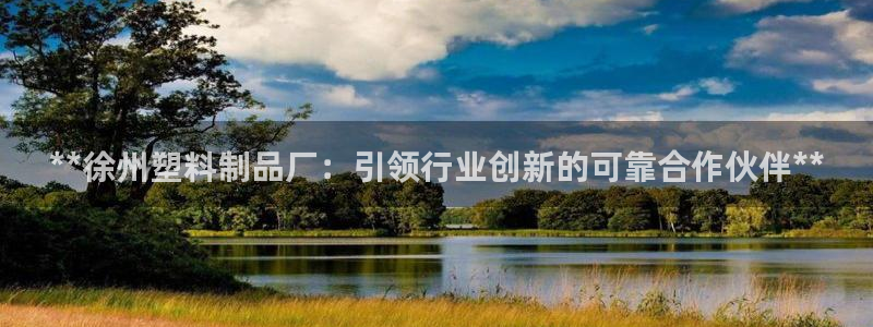 太阳集团是什么平台?：**徐州塑料制品厂：引领行业创新的可靠