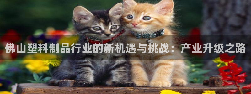 太阳集团网投：佛山塑料制品行业的新机遇与挑战：产业升级之路