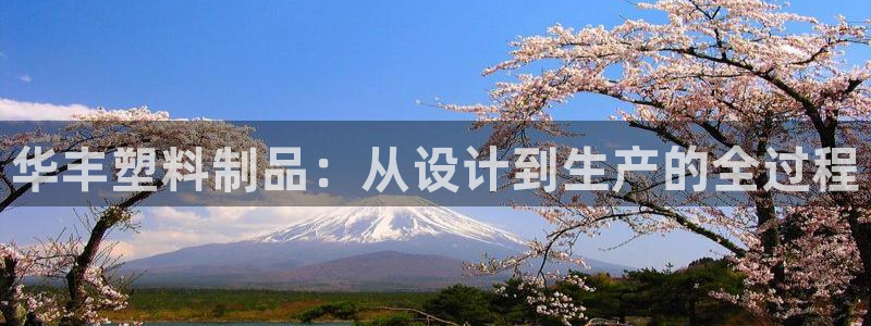 太阳集团app：华丰塑料制品：从设计到生产的全过程