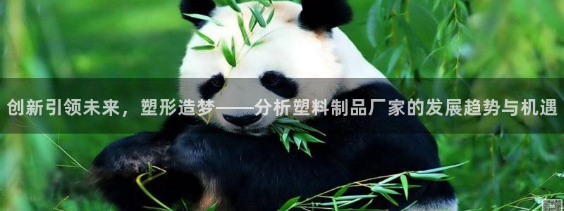 太阳gg登录地址：创新引领未来，塑形造梦——分析塑料制品厂家