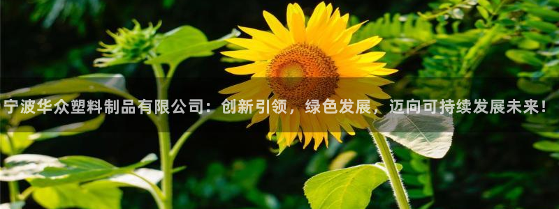 太阳集团电子游戏官方网站：宁波华众塑料制品有限公司：创新引领