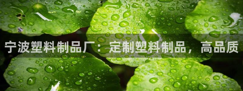 太阳1城集团网址查询：宁波塑料制品厂：定制塑料制品，高品质