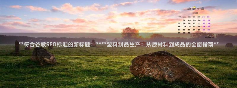 太阳2游戏娱乐官网：**符合谷歌SEO标准的新标题：****