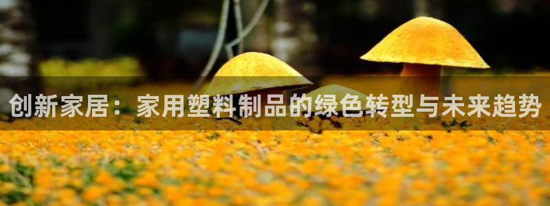 太阳集市网上商城：创新家居：家用塑料制品的绿色转型与未来趋势
