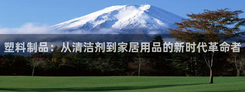 太阳集团2018登录网址查询：塑料制品：从清洁剂到家居用品的