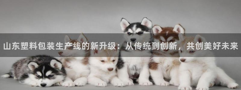 2003网站太阳集团：山东塑料包装生产线的新升级：从传统到创