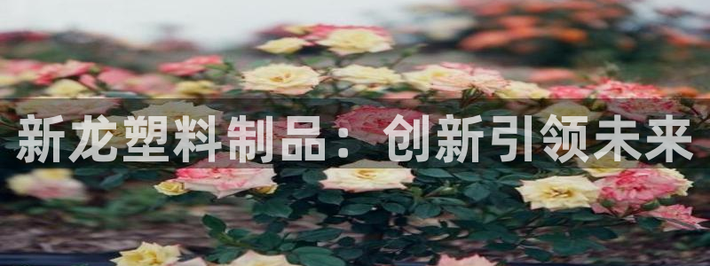 太阳集团城娱6543官网：新龙塑料制品：创新引领未来