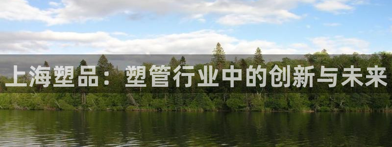 太阳集团董事长的儿子：上海塑品：塑管行业中的创新与未来