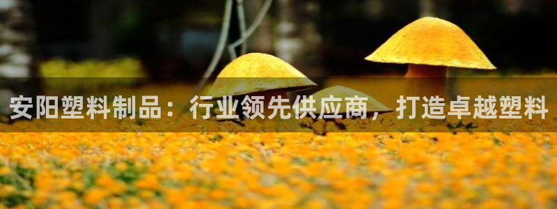 太阳成集团是干嘛的：安阳塑料制品：行业领先供应商，打造卓越塑