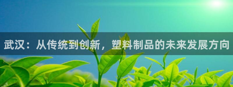 太阳gg平台登陆：武汉：从传统到创新，塑料制品的未来发展方向
