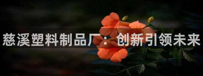 太阳2官方下载：慈溪塑料制品厂：创新引领未来